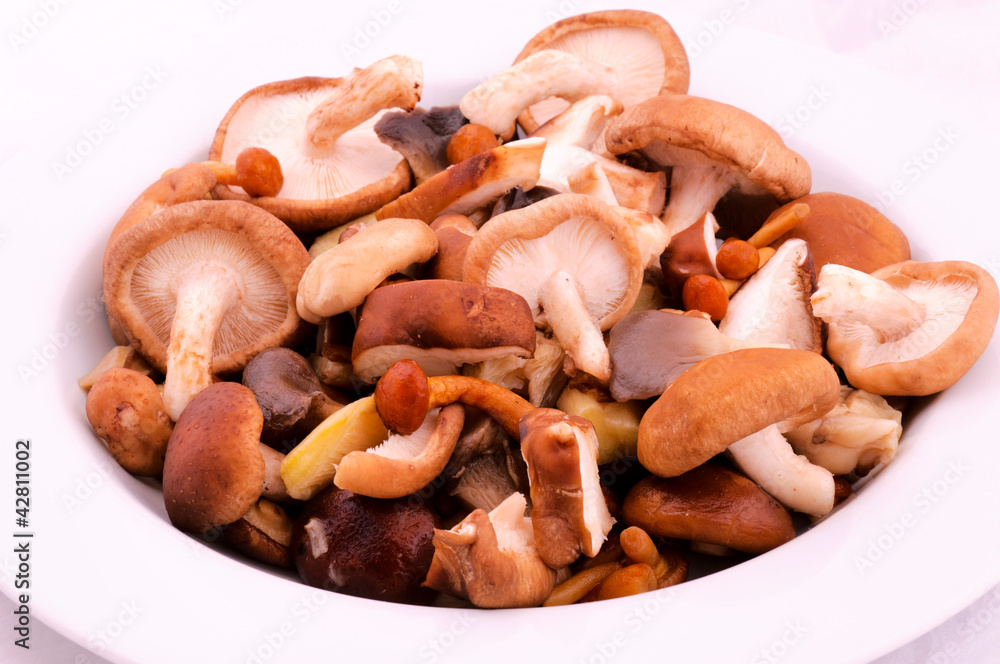 Mixture of mushrooms Mixture of mushrooms