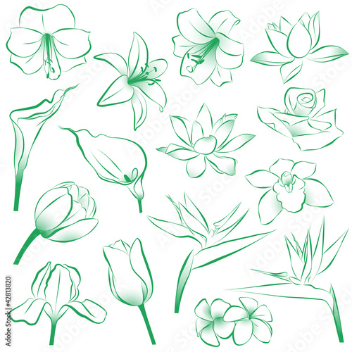 Fototapeta Naklejka Na Ścianę i Meble -  Flowers