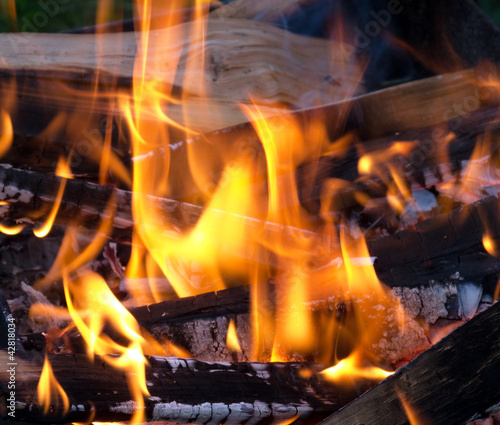 live coals and burning wood