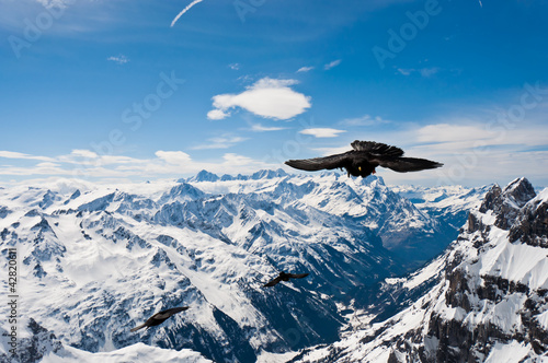 Panoramic view of Urner Alps © smokedsalmon