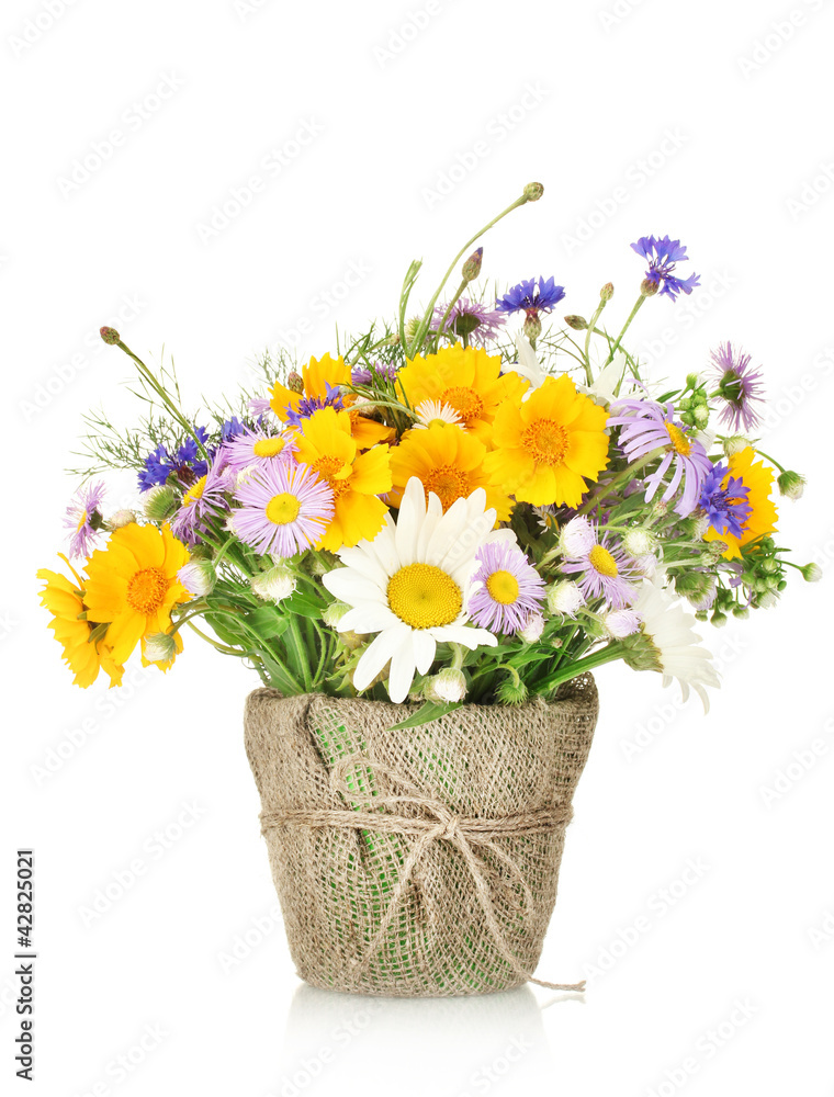 beautiful bouquet of bright  wildflowers in flowerpot, isolated