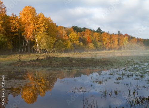 Wetlands in autumn.
