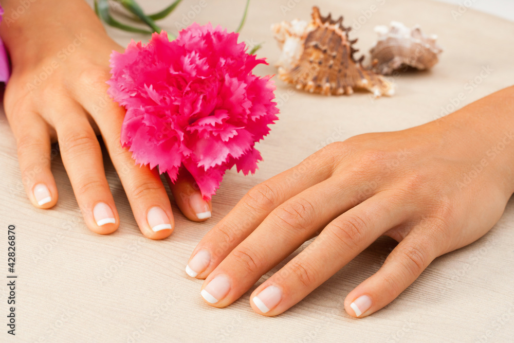 Fototapeta premium Female hands with flower.