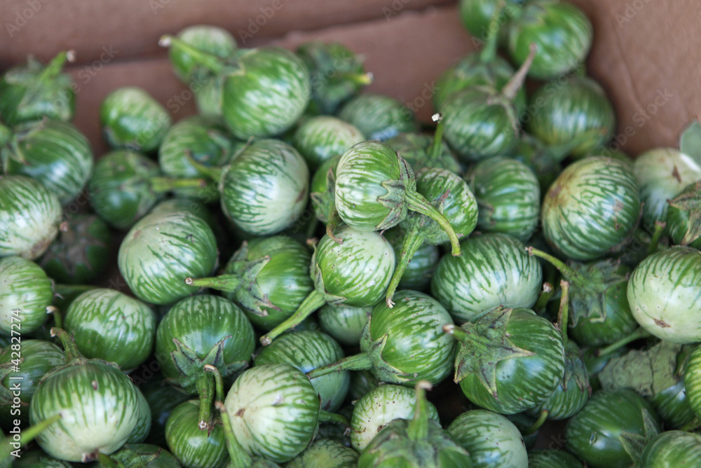 striped green eggplants striped green eggplants