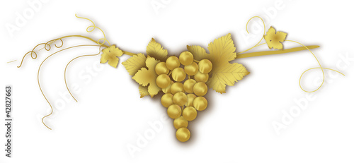 uva d'oro