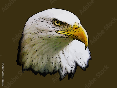 Graphical sketch of head predator eagle