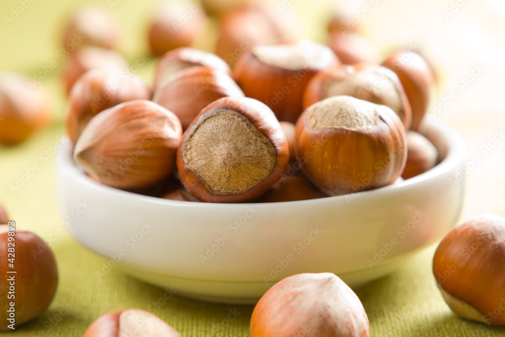 Obraz premium Hazelnuts (filbert)