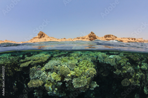 Red Sea Coral Reef and Sinai Desert in Egypt photo