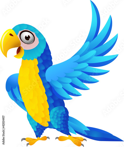 Blue macaw cartoon