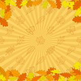 Background, autumn leaves