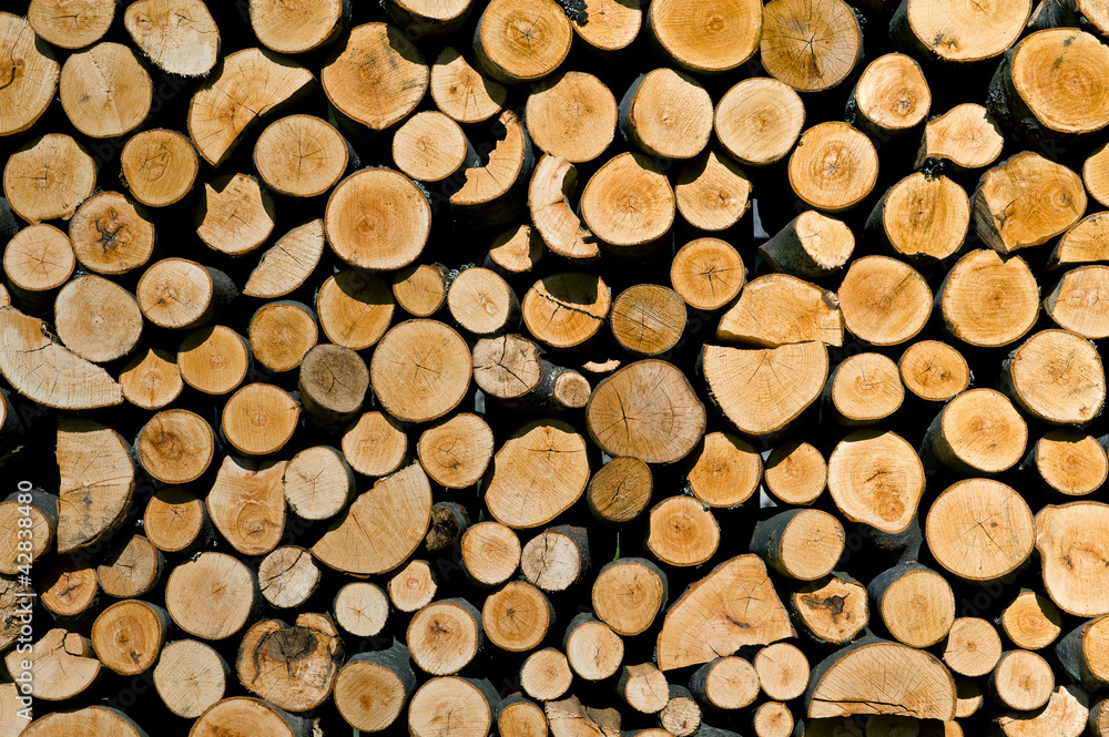 piece of woods piece of woods