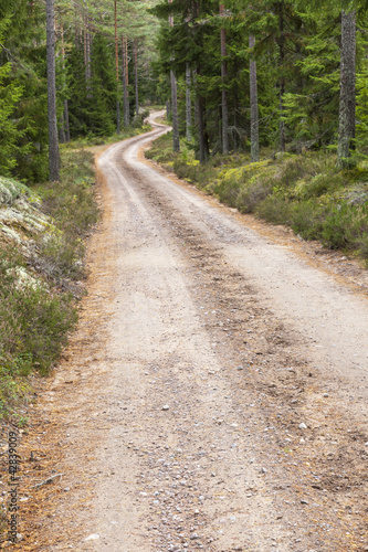 Winding dirt road