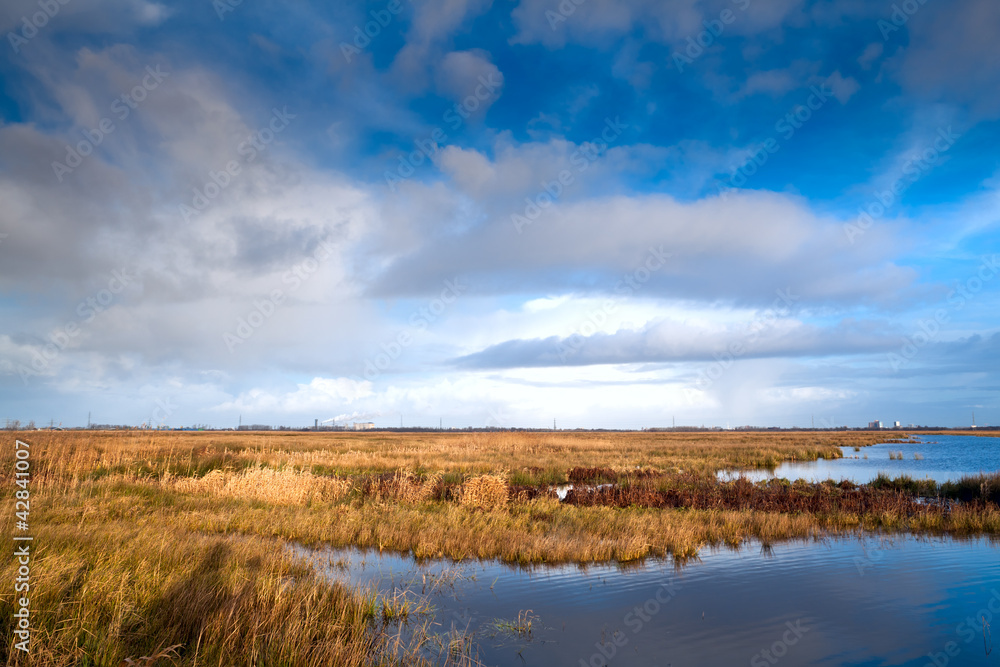 landscape in Drenthe landscape in Drenthe