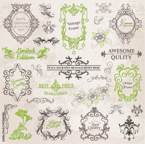 Vector Set: Calligraphic Design Elements and Page Decoration