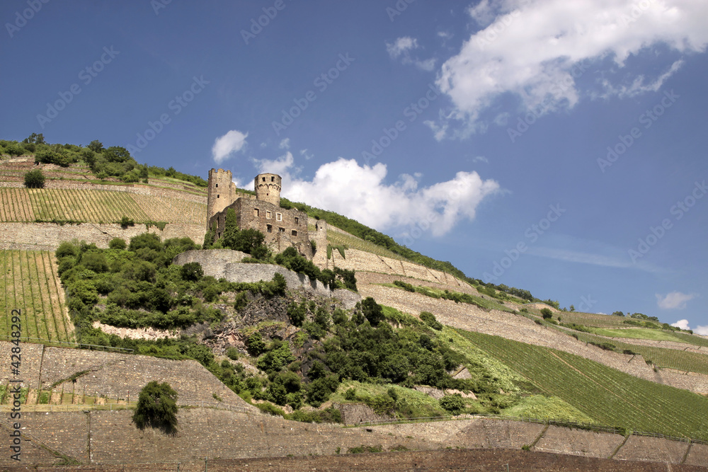 Ruine Ehrenfels Ruine Ehrenfels