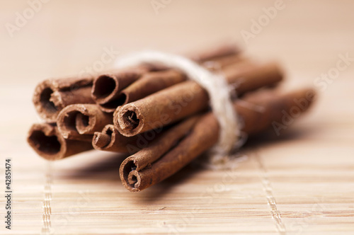 Obraz na płótnie cinnamon w salonie