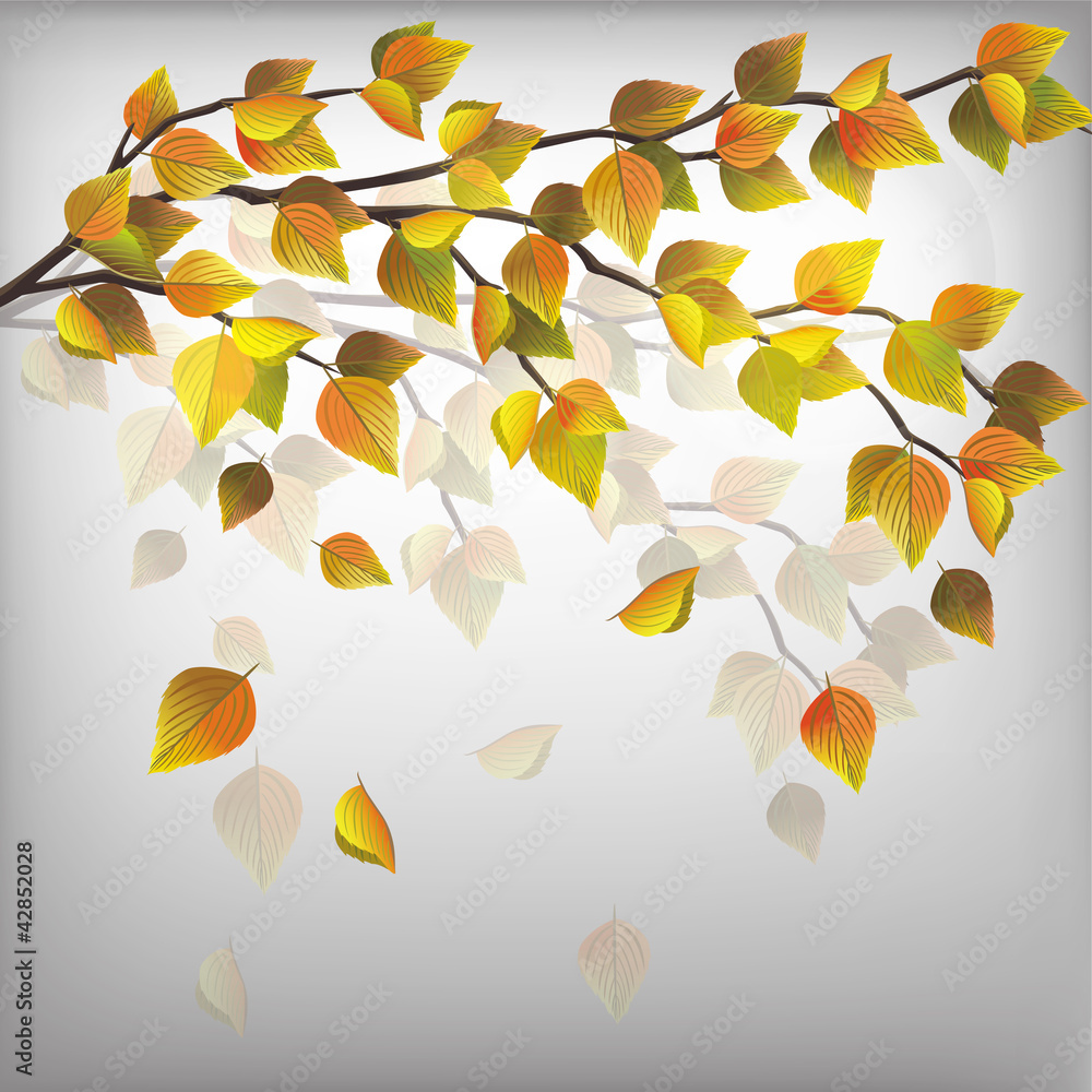 Autumn tree with flying leaves, nature background Autumn tree with flying leaves, nature background