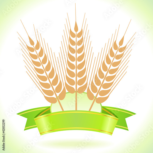 Wheat Grain Label for Agricultural  Market