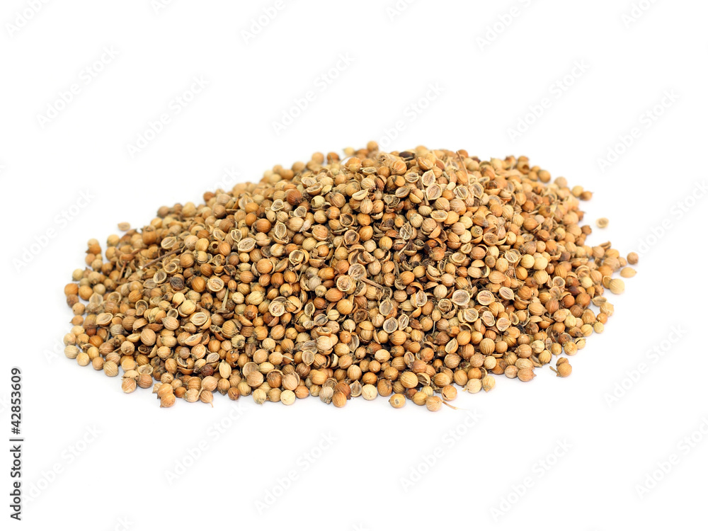 many coriander seeds many coriander seeds