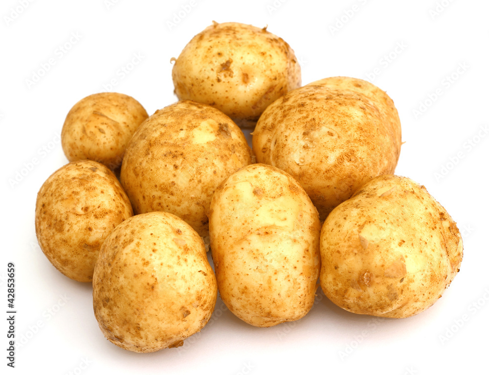 bunch of potatoes bunch of potatoes