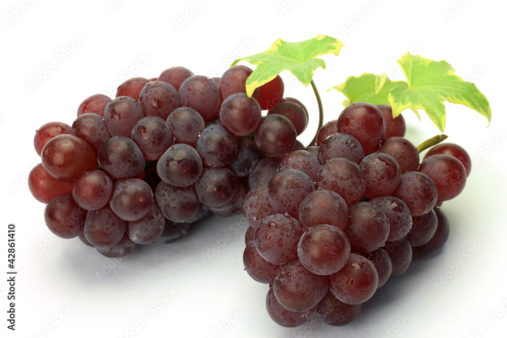 grape grape
