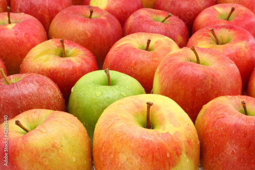 apple fruitage