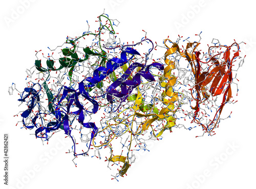 Enzyme Alpha-Amylase. 3D molecular structure
