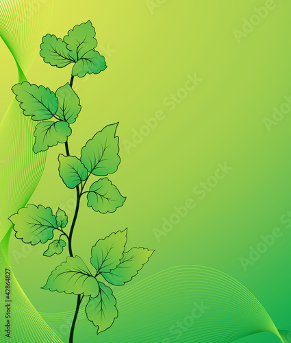 Green twig background