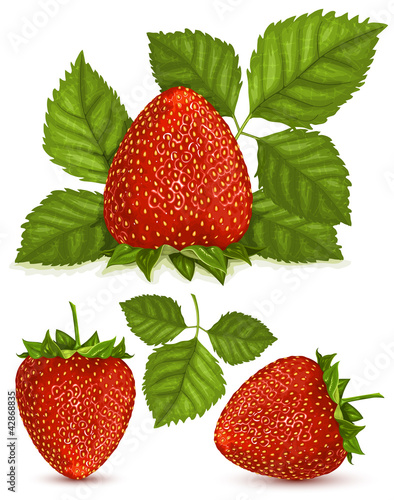 Vector illustration of strawberries with leaves.