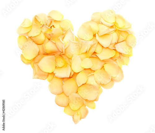 beautiful heart of orange rose petals isolated on white