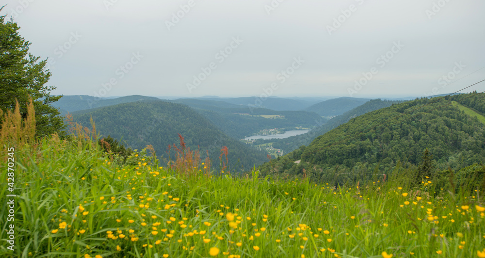 The lower mountains of Vosges