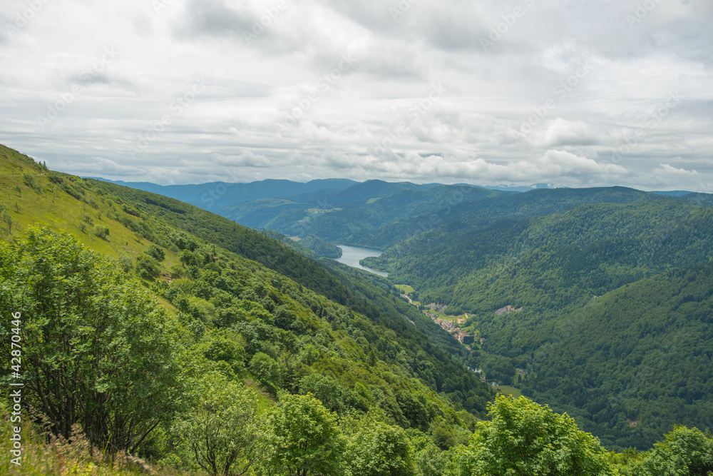 The lower mountains of Vosges
