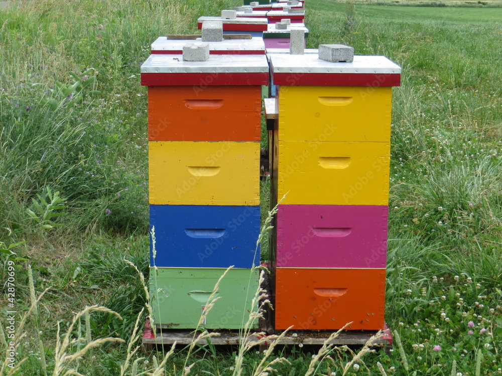 Stacks of rainbow coloured bee hives Stacks of rainbow coloured bee hives