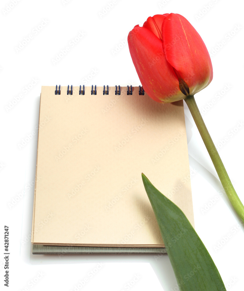 red tulip and notepad red tulip and notepad