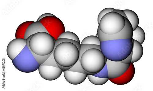 Amino acid pyrrolysine space-filling molecular model photo