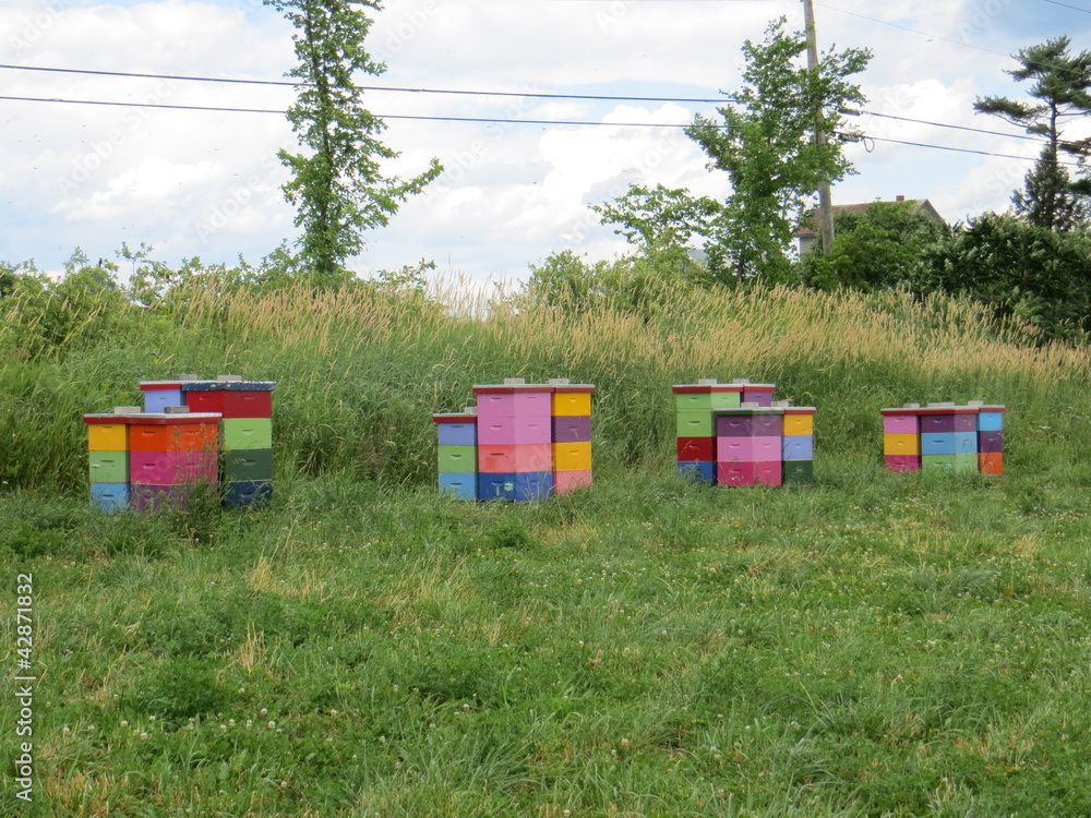 Field with colourful beehives Field with colourful beehives