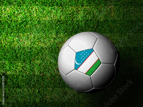 Uzbekistan Flag Pattern 3d rendering of a soccer ball in green g