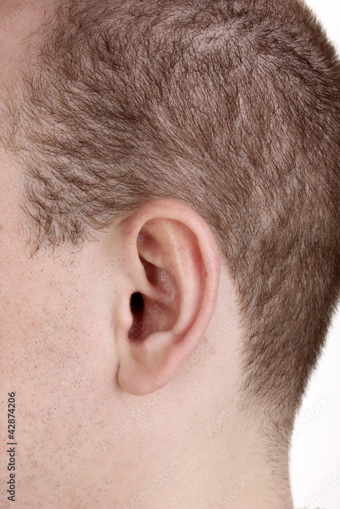 Human ear close-up isolated on white Human ear close-up isolated on white