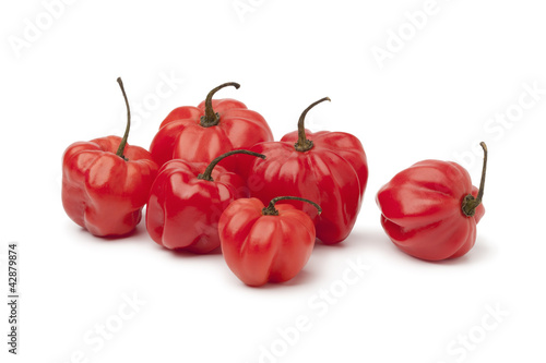 Cuadro en lienzo Red Scotch bonnet chili peppers
