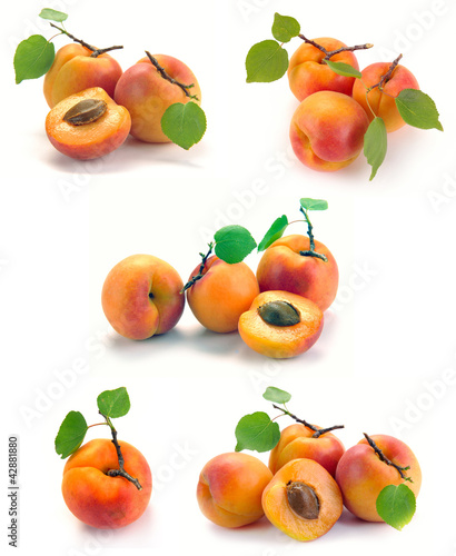 Apricot with leaves