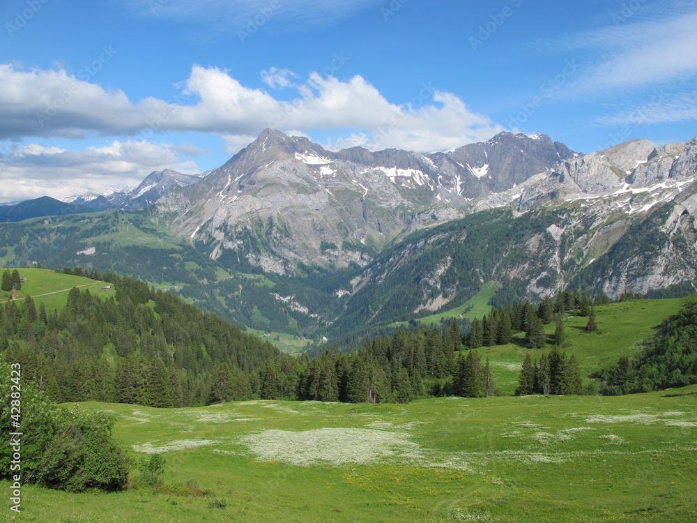 Landscape in the Swiss Alps