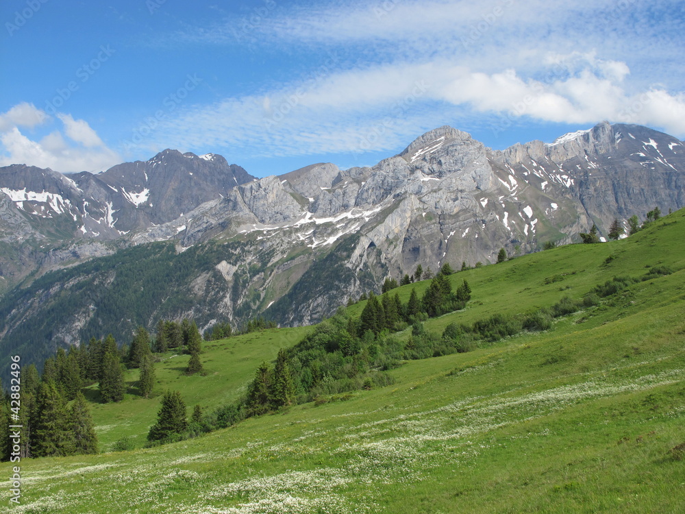 Mountain named Schlauchhorn and green meadow