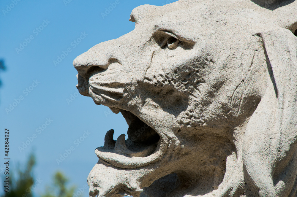 Lion's head Lion's head