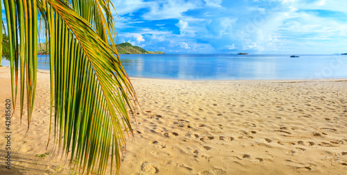 Fototapeta Naklejka Na Ścianę i Meble -  Beach panorama