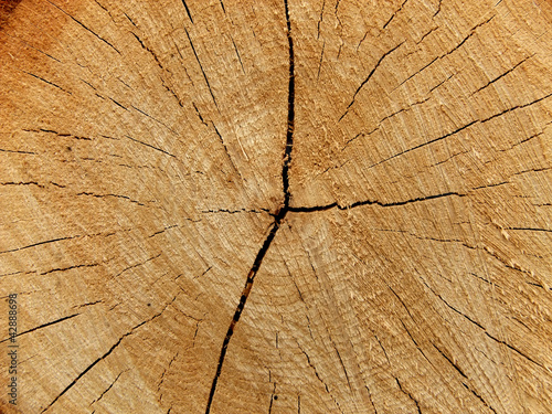 Wood grain.