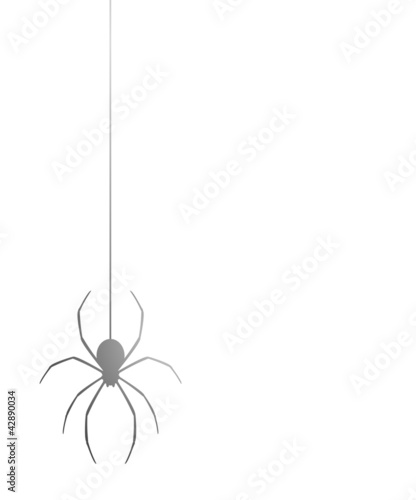 Spider vector