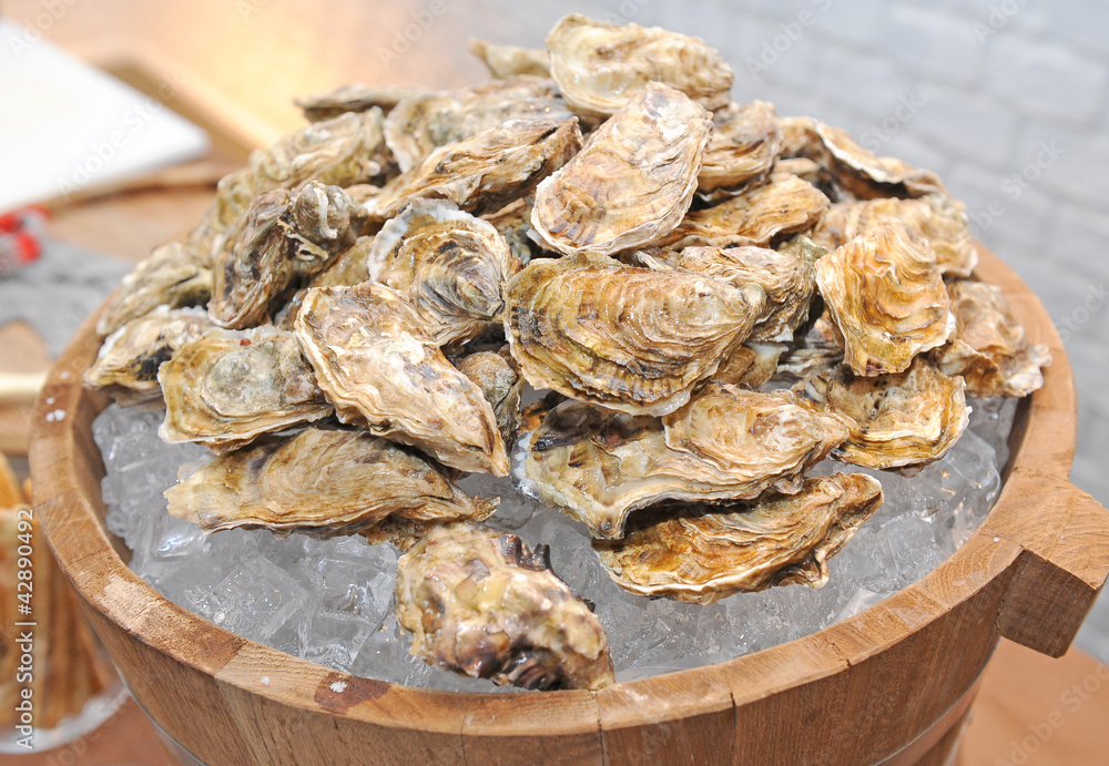 Obraz premium Fresh oysters