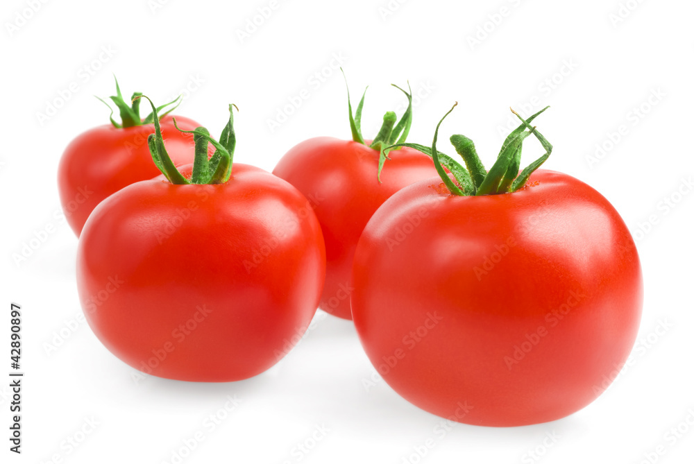 tomatoes tomatoes