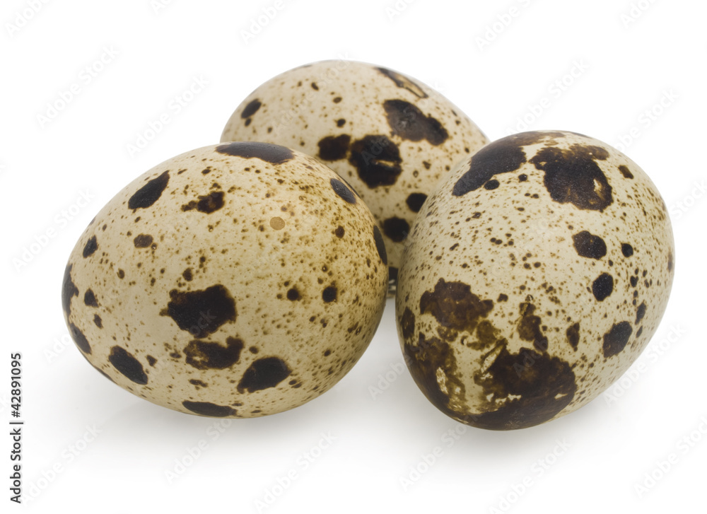Bunch of whole quail eggs on white