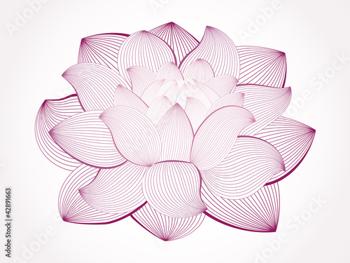 Fototapeta Naklejka Na Ścianę i Meble -  Vector lotus flower isolated on white
